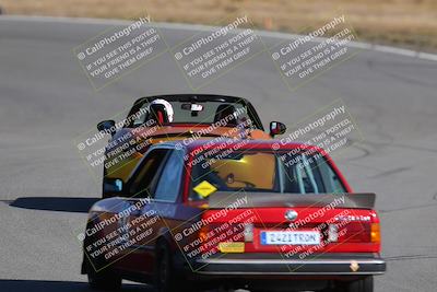 media/Nov-19-2023-Extreme Speed (Sun) [[bd0eec5490]]/Purple/Back Shots/